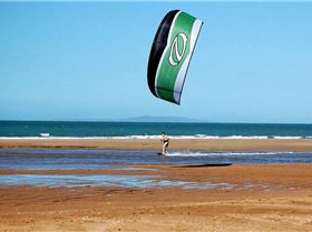 Coconet Classic 2008