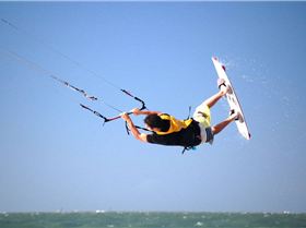 Coconet Classic 2008