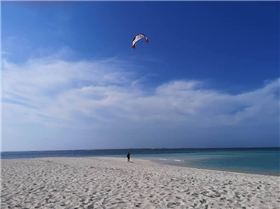 1df817f5333ca0e97e622b024329000d.0