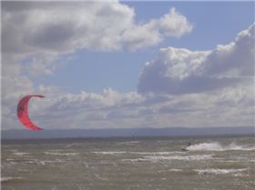 Kusu at Scarbie 23/6/05