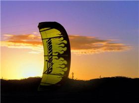 caution mayhem backlit