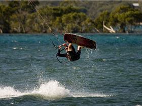 The Goldie    11-5-08