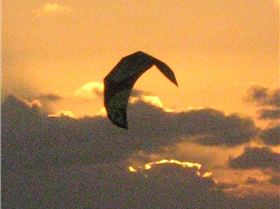 sunset from cottesloe