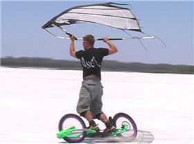 kitewink/dirtsurfer WA