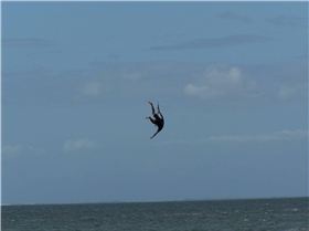 Boardless . . . and maybe headless too?