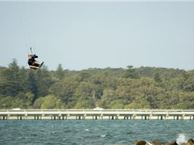 Aidan dangling around the treeline