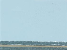 Andrew Grice - Kiteloop