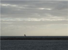 Cape Jaffas new Marina