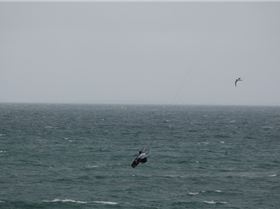 Gravity Board off Sequence 