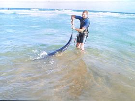 removing the locals before a session - Broulee