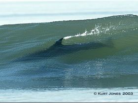 What you do want to see!