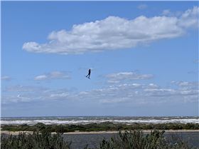 PXL20201026003012935