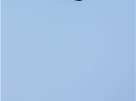 Kiteloop on the brand new 10m dice top kite!