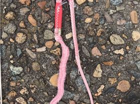 landing line tensor closeup