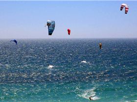 Clear water - where's that shark?