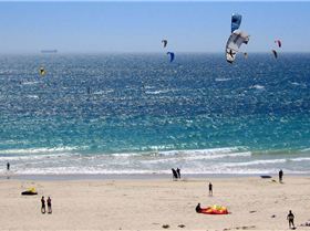 The 2nd busload unpacks