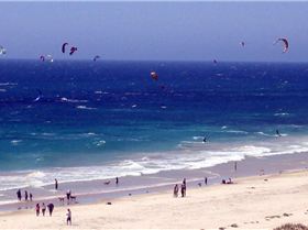 It's a good show for the public