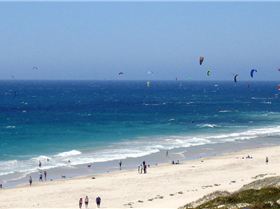 First lot disappearing