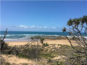 20190102125229IMG2688