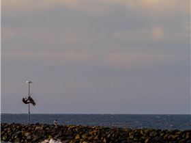 Cottesloe Beach Feb 27th 2021.