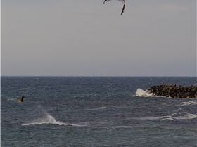 Cottesloe Beach Feb 27th 2021.