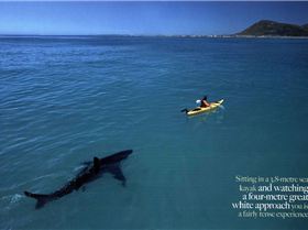 the spot on a flat day