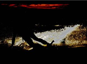 Pete - Big Friday gusty 30knots  7m Best