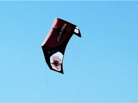 Kite session at Kirra on Friday