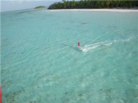 various photos of cocos to 7/8/08