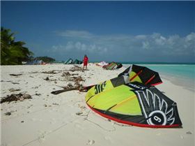 various photos of cocos to 7/8/08