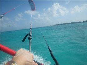 various photos of cocos to 7/8/08