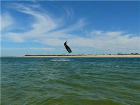 Luke from Kite Action at Caloundra Demo day