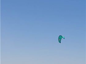 Screenshot20210731-110227Gallery