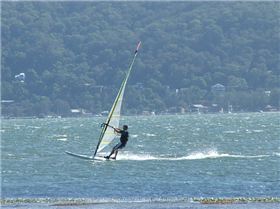 Windsurfing in a northeasterly