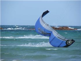 The New Bra Design Kites