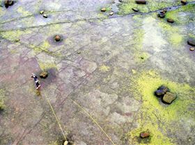 The walk at Longreef