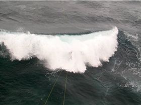 9m 2009 Griffin 17 knots 124 board