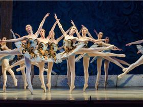 Anyone else seeing this??