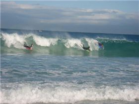 small scarbs but a lot of fun!