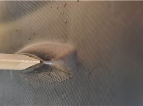 T1 Triton foil Mono-wing