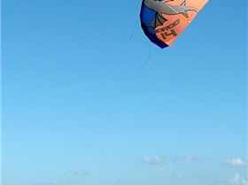 14m Waroo Limited colour scheme