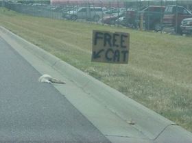 which way did that KP van go