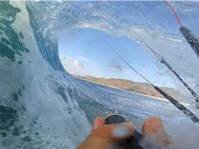 GX0122291662040205617