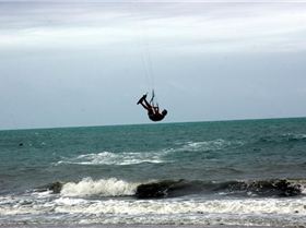 Coconet Classic Bowen