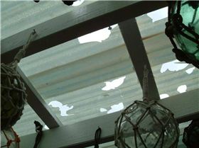 hail damage