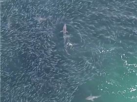 Screenshot20230329-211149Video Player