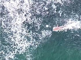 Screenshot20230329-211209Video Player