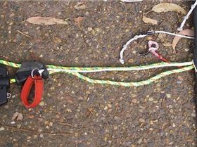 Sheathed Spectra Chicken Loop