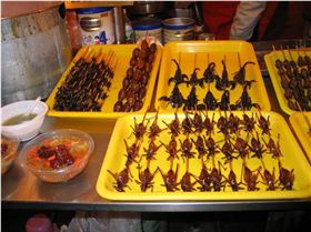 2007 kitestock big breakfast