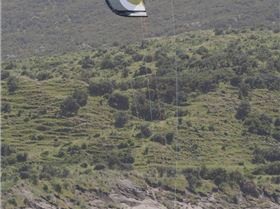 Ozone Instinct 2009 pics